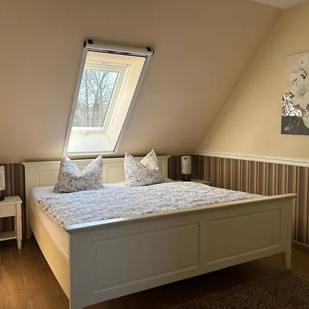 Wasserlilie * Kolonie (Spree-Neisse)