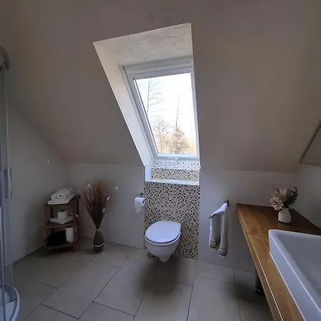 Wasserlilie Kolonie (Spree-Neisse)