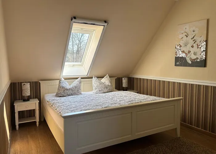 Wasserlilie * Kolonie (Spree-Neisse)